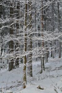 Vimperk - Fotokronika Jana Tláskala - listopad 2022