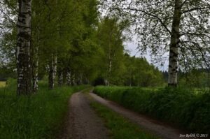 Velká oblačnost a bouřky i nadále