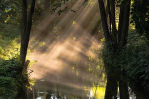 Paprsky odrážející se v řece