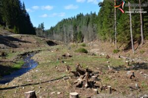 Turnaj o vánoční pohár ročník narození 2009