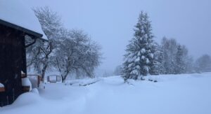 Šumava uzdravuje.